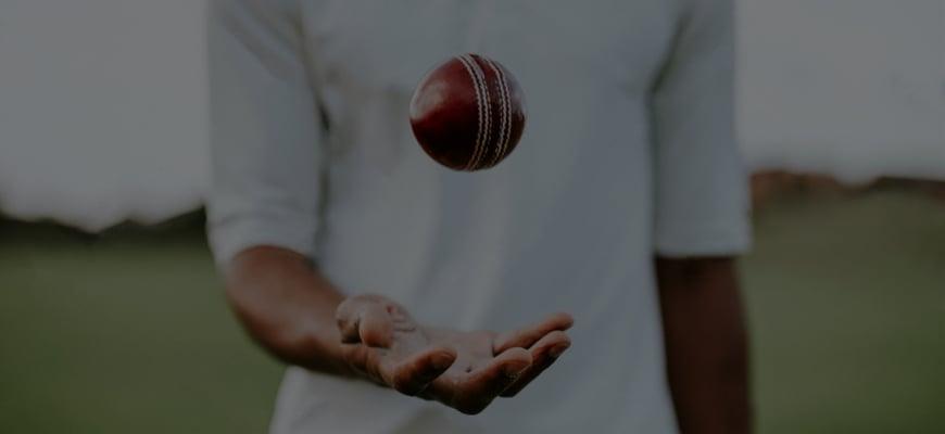 Cover Image for This Is What Cricket Experts Were Hiding: 8 Cricket Betting Tips To Use