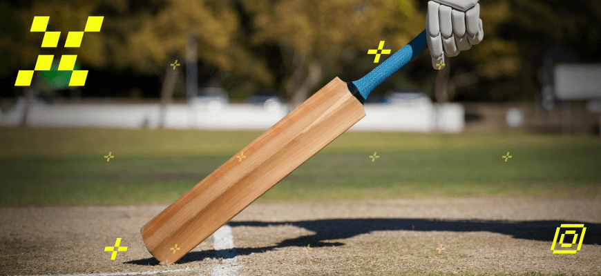Cover Image for Picking the Best Bat in the World: A Comprehensive Guide